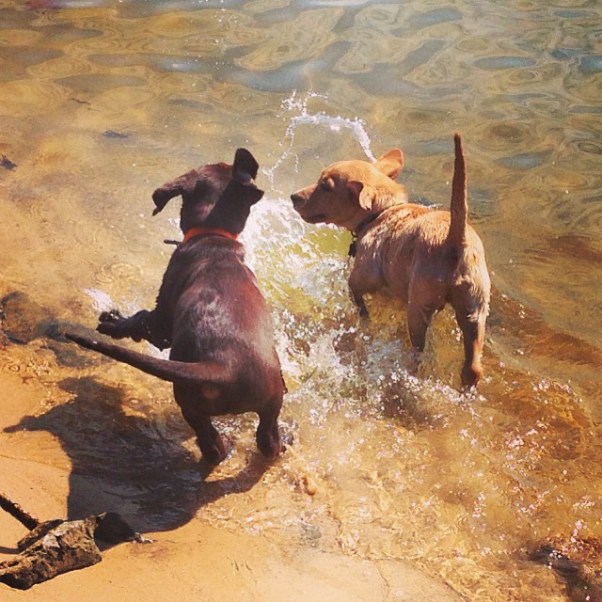 “Some people grin and bear it; others smile and do it.”