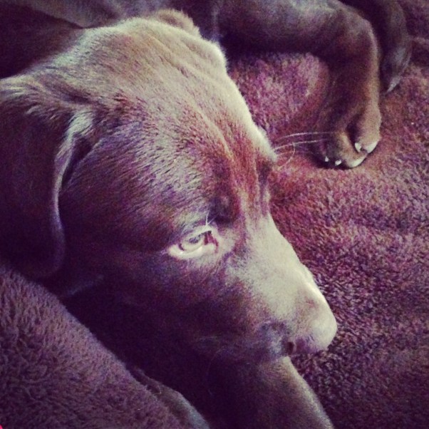 The greatest healing therapy is friendship and love. ~Hubert H. Humphrey 