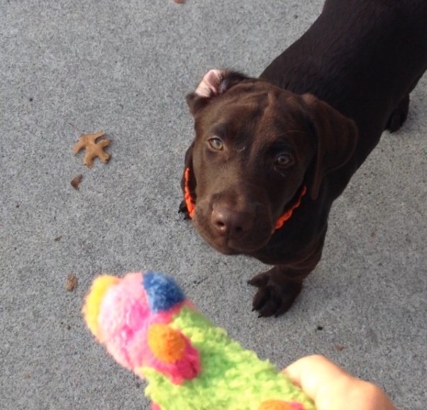 “Being happy doesn't mean that everything is perfect. It means that you've decided to look beyond the imperfections.”