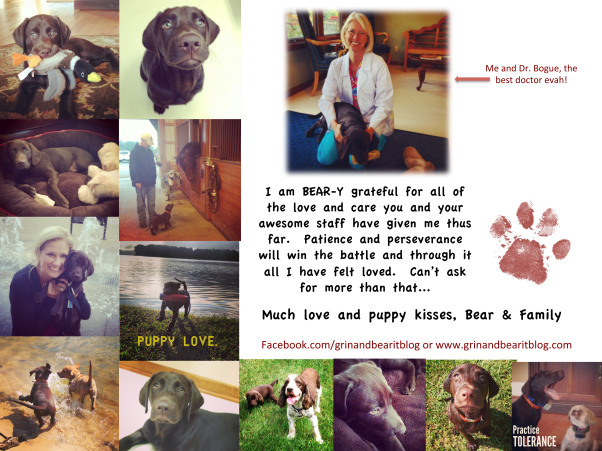“If having a soul means being able to feel love and loyalty and gratitude, then animals are better off than a lot of humans”  ~James Herriot
